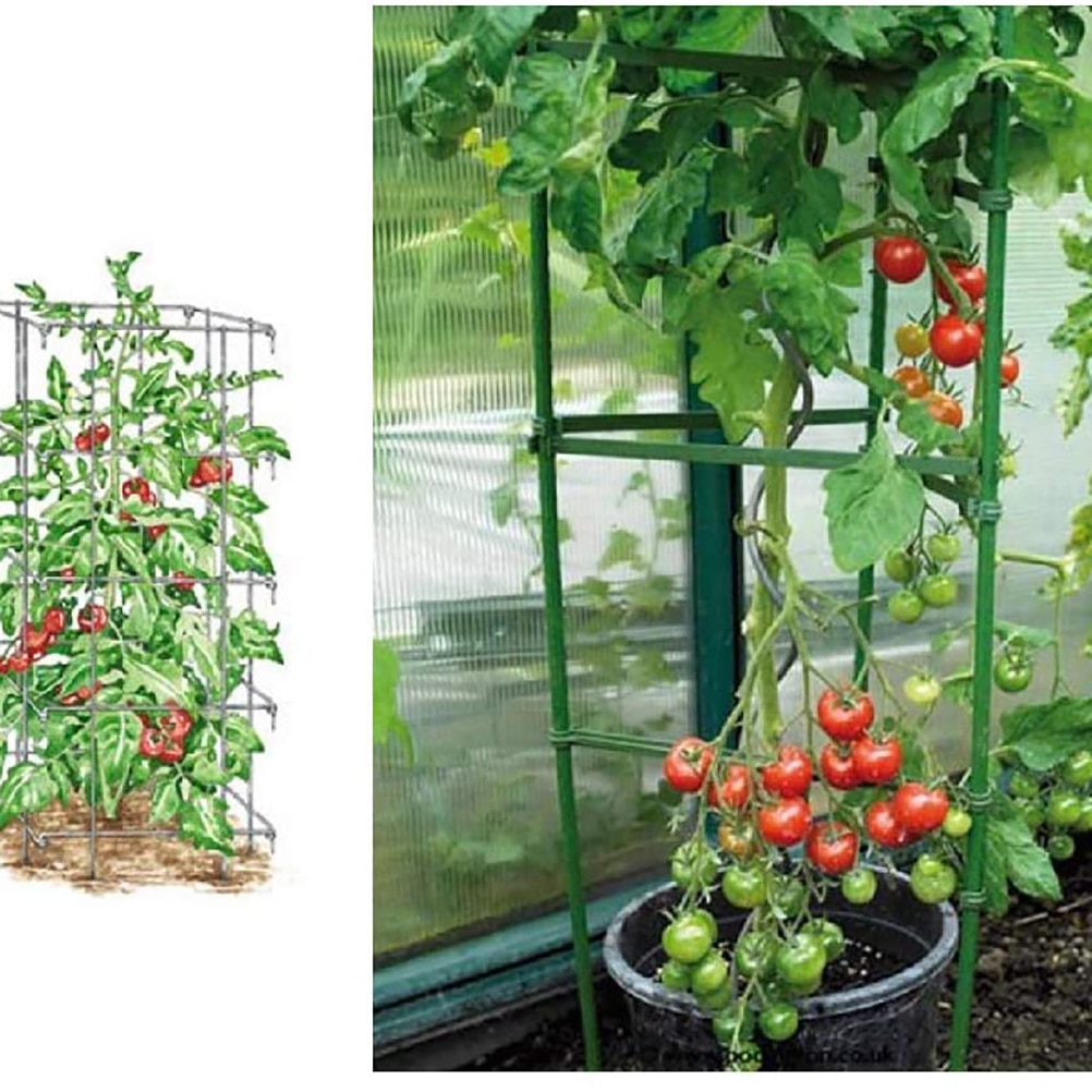 12 stücke Garten Anlage Unterstützung Stecker Vegtables Blumen Tomaten Anlage Ständer Kunststoff Einatz Arme Tomaten KäFeige