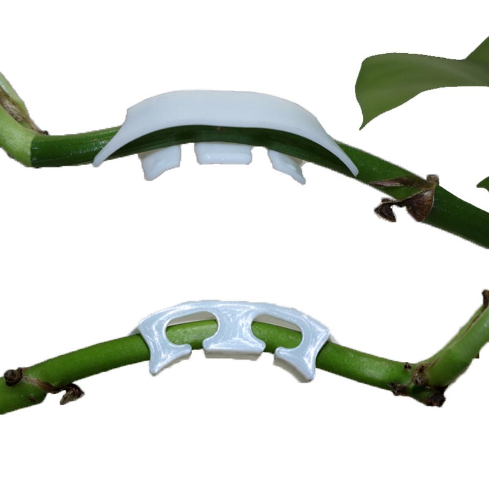 10 teile/satz Tomaten Obst Zweige Stärken fest Clip Kirsche Obst Reben Unterstützung Clip Obst Und Zweige Verstärkung Werkzeug