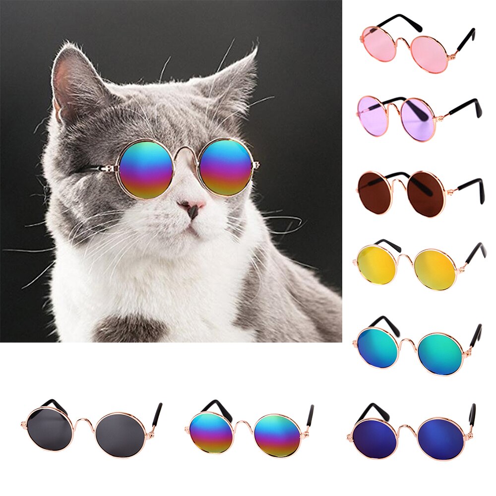 SchöNe Haustier Gläser Katze Gläser Hund Brille Haustier Produkte Für Kleine Hund Katze Auge-tragen Hund Sonnenbrille Fotos Haustier zubehör