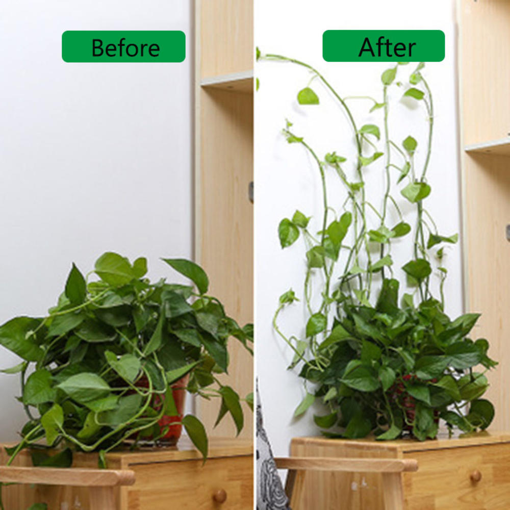 10PC Anlage klettern Zauberstab leuchte anlage feste schnalle grün Dill klettern Zauberstab artefakt reben grüNe pflanze drinnen selbst-klebstoff haken