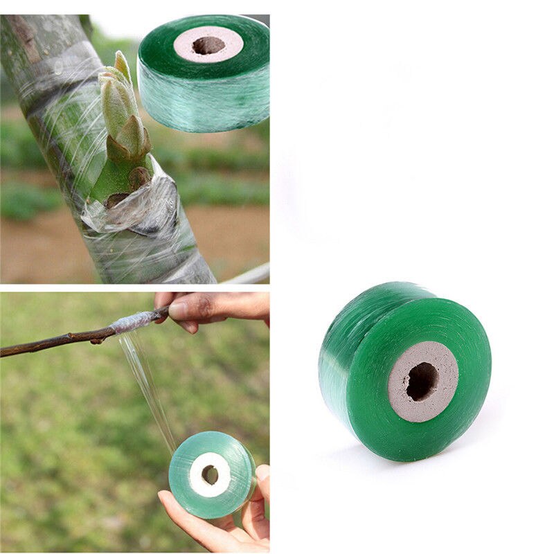 100 Mx2CM Pfropfen Dehnbar Band Feuchtigkeit Barriere Anlage Reparatur Klar Grün