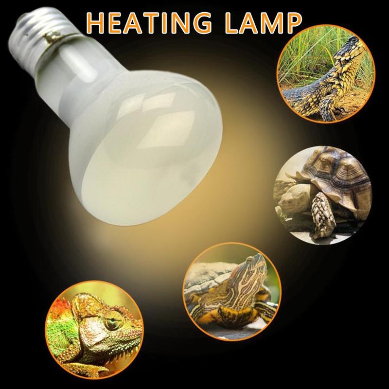 Reptil Heizung UVA Lampe Amphibien Schildkröte Eidechse Terrarium Temperatur Regler 25/50/70w Uv Tageslicht hell Birne Heizung