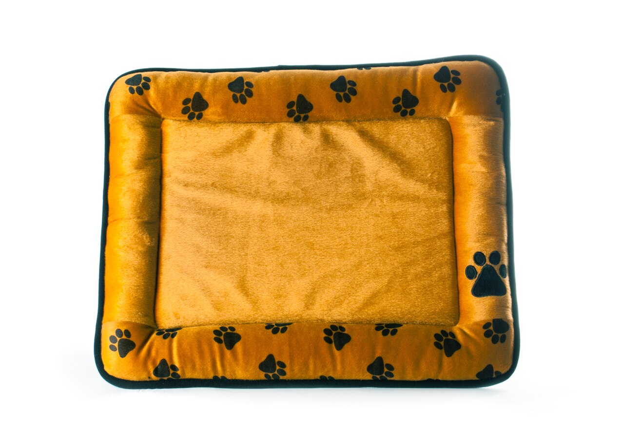 Haustier Bett hund katze bett kissen Haustier bett matratze weiche verschiedene modelle Beige