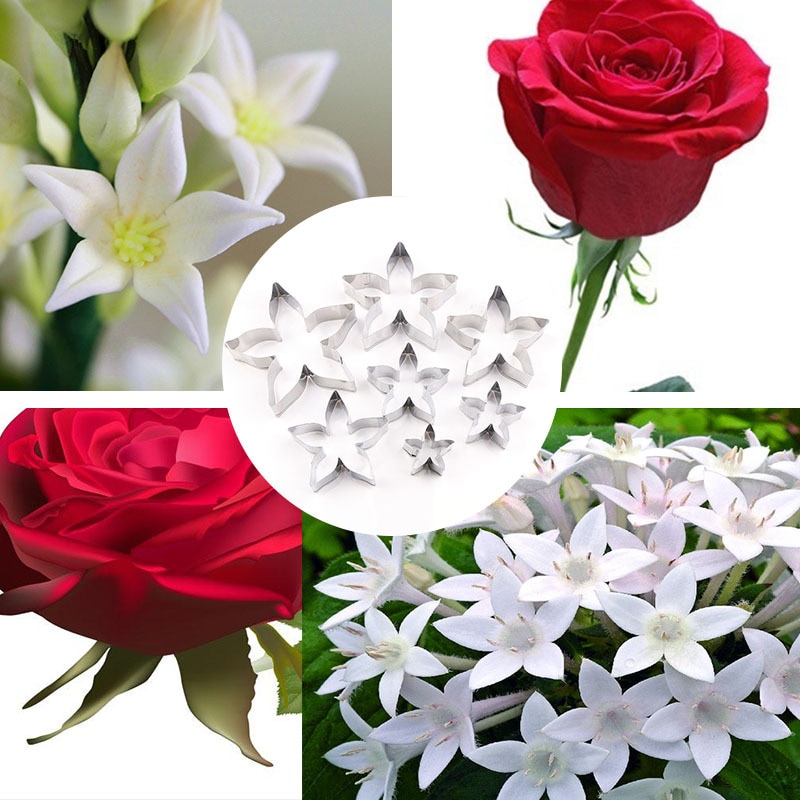Neue Edelstahl Rose Kelch Stern Blumen Schneiden Sterben Britischen Zucker Blumen Blütenblatt Modell Cutter Tonne Werkzeuge Polymorph Keramiek