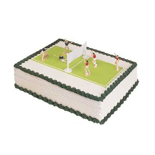 Volleyball thematisiert Kuchen-Terrarium Objekt