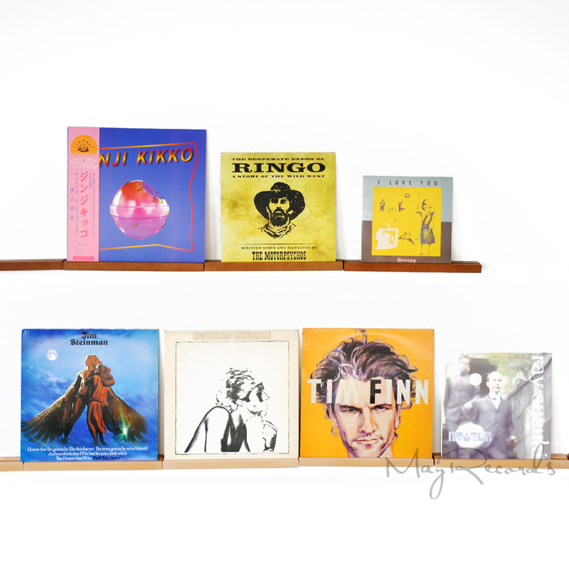 dauerhaft Buche LP Vinyl Aufzeichnungen Anzeige Stehen Halterung Plattenspieler Halfter für LP Vinyl Aufzeichnungen Zubehör