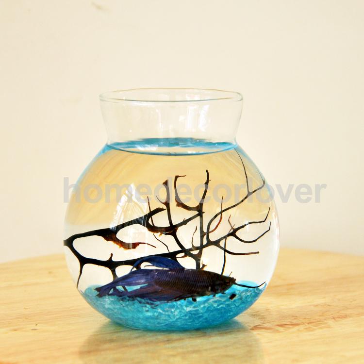 Klar Glas Runde Blume Pflanzer Vase Terrarium Container Fisch Panzer Tabelle Dekor