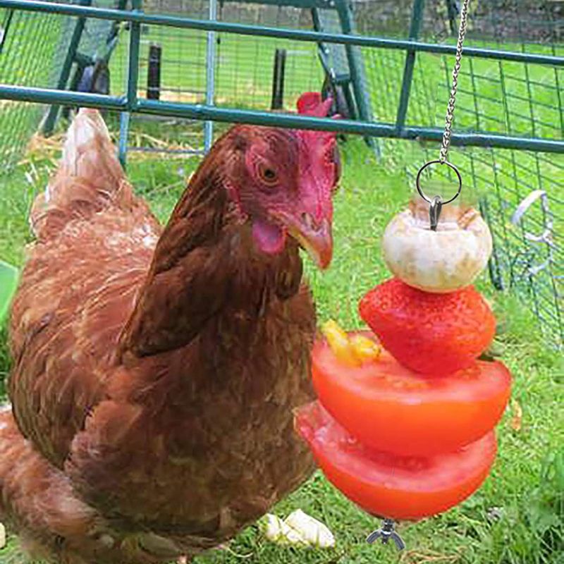 Vogel Huhn Gemüse Spieß Lebensmittel Obst Halfter für Hühner Hängen Gemüse Zubringer B2QB