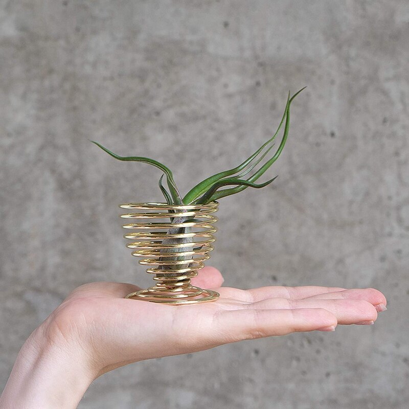 Neue 4 Pack Luft Pflanzen Halfter, Luft Pflanze Zauberstab Aufhänger, Anzeige Stand, tabletop Container Goldene (KEINE Pflanzen Enthalten)