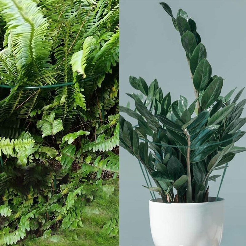 12 Packungen 15,7 Zoll Halb Runde Garten Anlage Unterstützung Ring mit 15 Stck Anlage Etiketten, Metall Garten Grenze Unterstützt