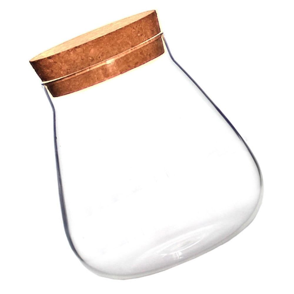 1Pc Kreative Mikro Landschaft Vase Klar blasiert Schüssel Anlage Terrarium DIY Handwerk