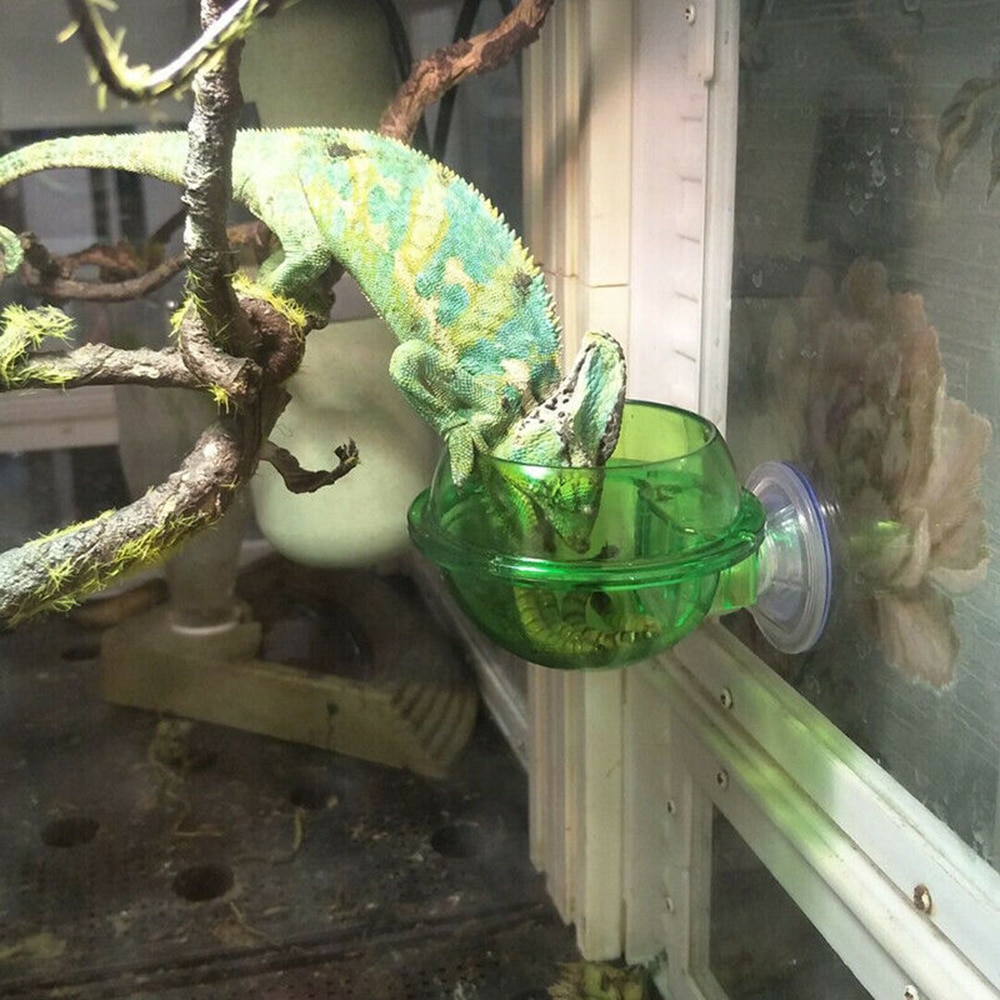 1pc Saugnapf Zubringer Reptil Haustiere Wasser Lebensmittel Saugnapf Zubringer Lebensmittel Schüssel Für baumbewohnend Haustiere Kleine Haustier Fütterung Liefert