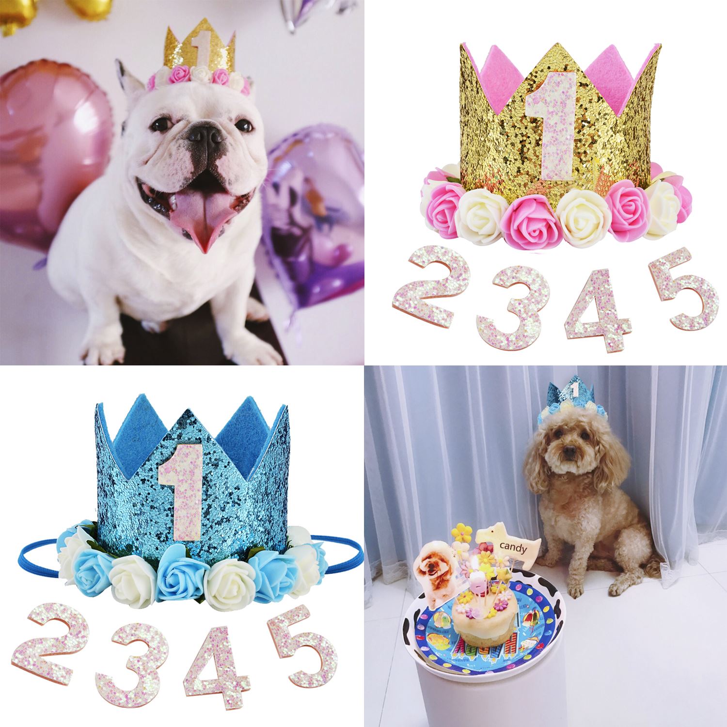 Haustier Hund Katze Geburtstag Party Hütte Ein bis Fünf Kappen Ersten Geburtstag Prinzessin Krone Party Welpen Kätzchen Gefälligkeiten stirnband