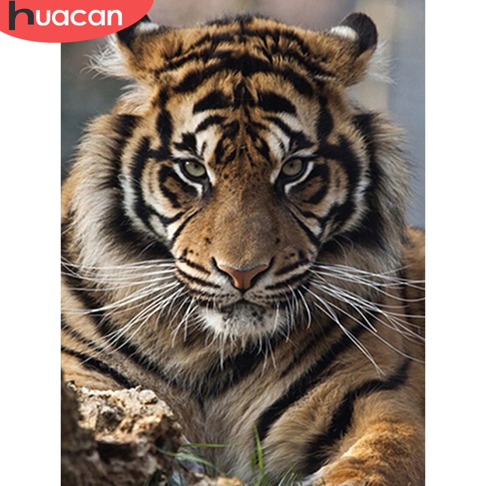 HUACAN Diamant Stickerei 5D DIY Diamant Malerei Tiger Voll Platz/Runde Bohrer Mosaik Malerei Kreuz Stich Dekoration
