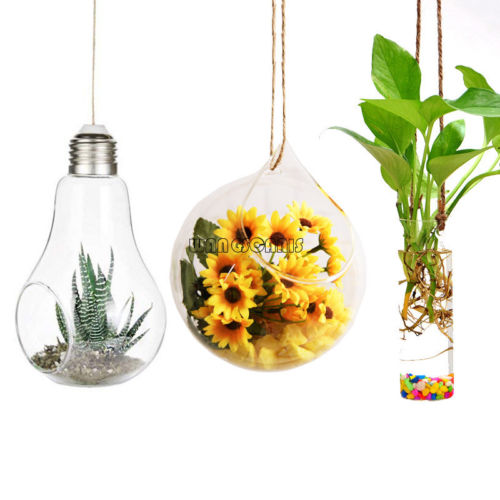 1X Klar Anlage Hängen Vase Blume Terrarium Container Glas Topf Hochzeit Dekor Neue Blume Töpfe Kreative Glas Ball Birne bilden