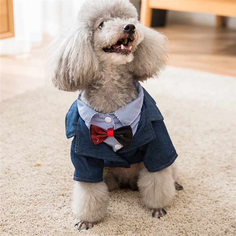 Hund Hochzeit Anzug Mantel Herbst Winter Hund Kleidung Hemd Katze Welpen Yorkshire Pommerschen Pudel Bichon Mops Korgi Hund Kleidung Outfit