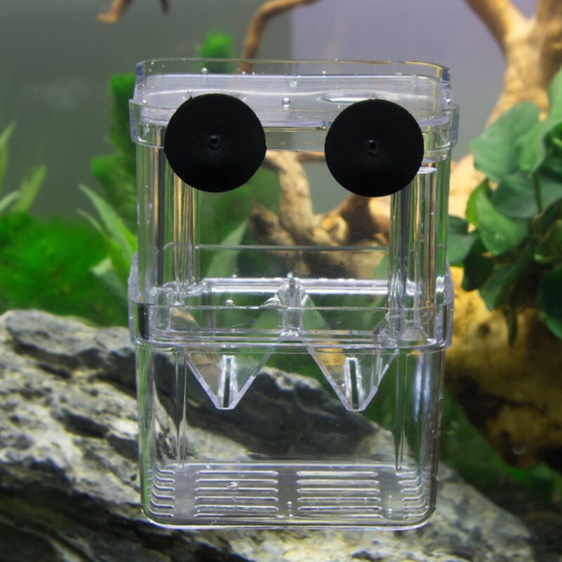 Betta Fisch Zucht Isolation Kasten Mini Aquarium Aquarium Züchter Kasten Doppel Löcher Schlüpfen Inkubator Aquarium Acryl Fisch Schüssel