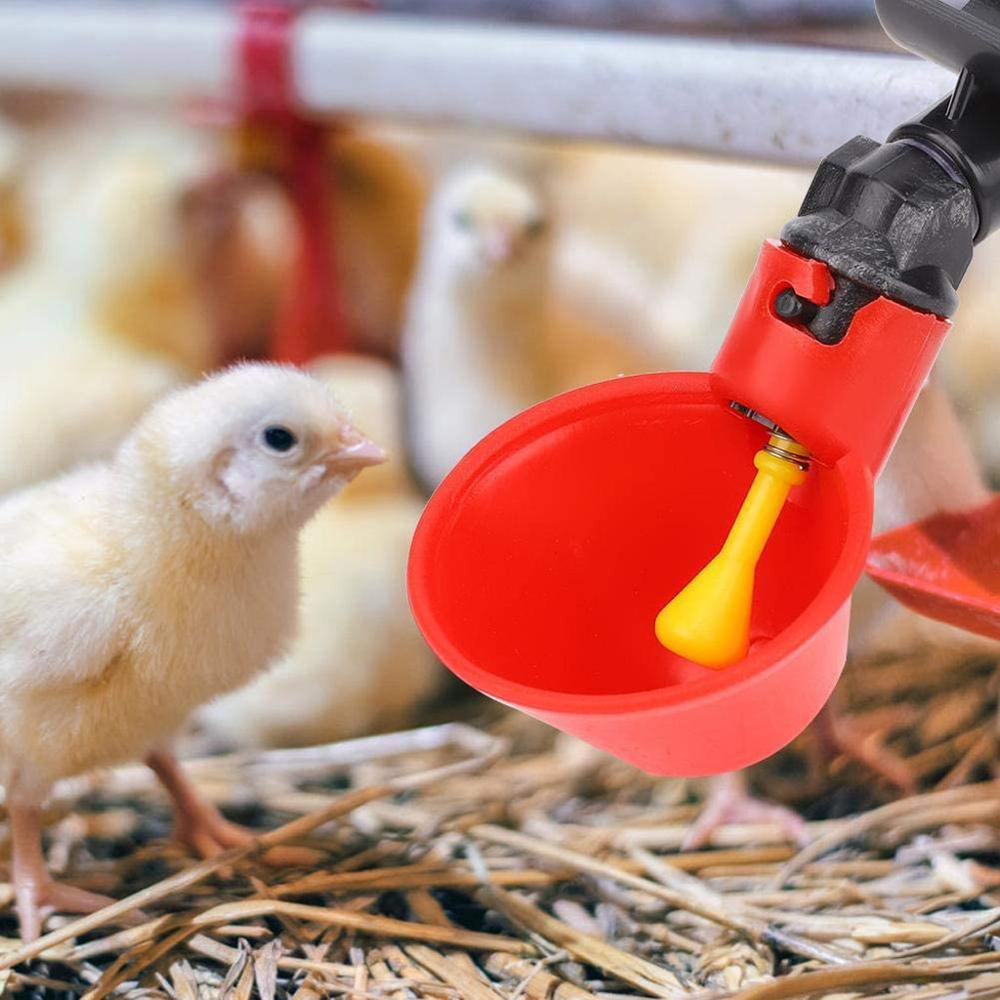 1,5 kg Kunststoff Lebensmittel Zubringer Heimat Huhn Huhn GeflüGel Zubringer Mit Deckel Griff eimer Hunde Katzen Lebensmittel Schüssel Spender Haustier rasse