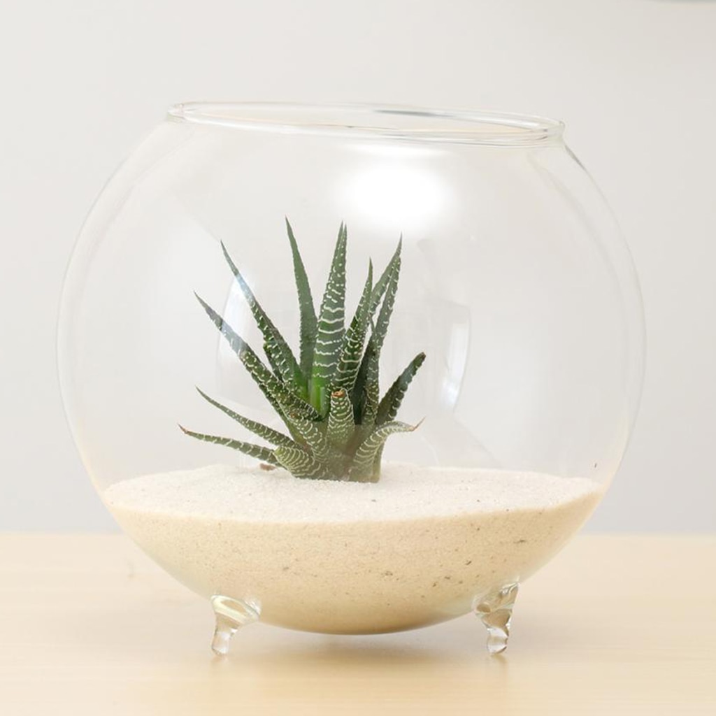 1 stück Blume Vase Terrarium DIY Pflanzen Hydrokultur Topf Mini Fisch Panzer