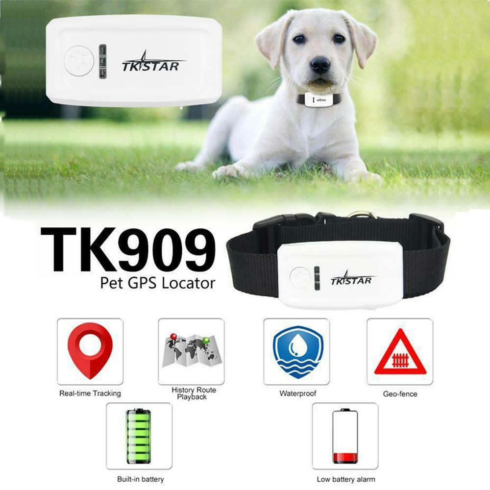 TK-Stern TK909 GPS haustiere Tracker GSM SMS GPRS Tracker Kostenlose App für TKSTAR, Keine Kasten 100g2280