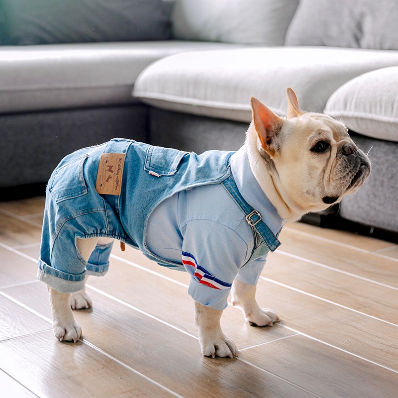Denim Hund Mantel Herbst Winter Haustiere Hunde Kleidung Fett Hund Kleidung Haustier Kleidung Französisch Bulldogge Welpen Kostüm Mops Hunde jacke