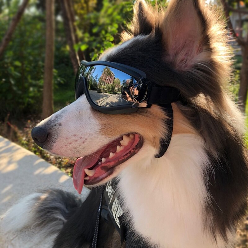 Einstellbare Haustier Hund Brille Sonnenbrille Anti-Uv Sonnenbrille Auge Tragen Schutz Wasserdicht Winddicht Sonnenbrille Haustier Hund Liefert