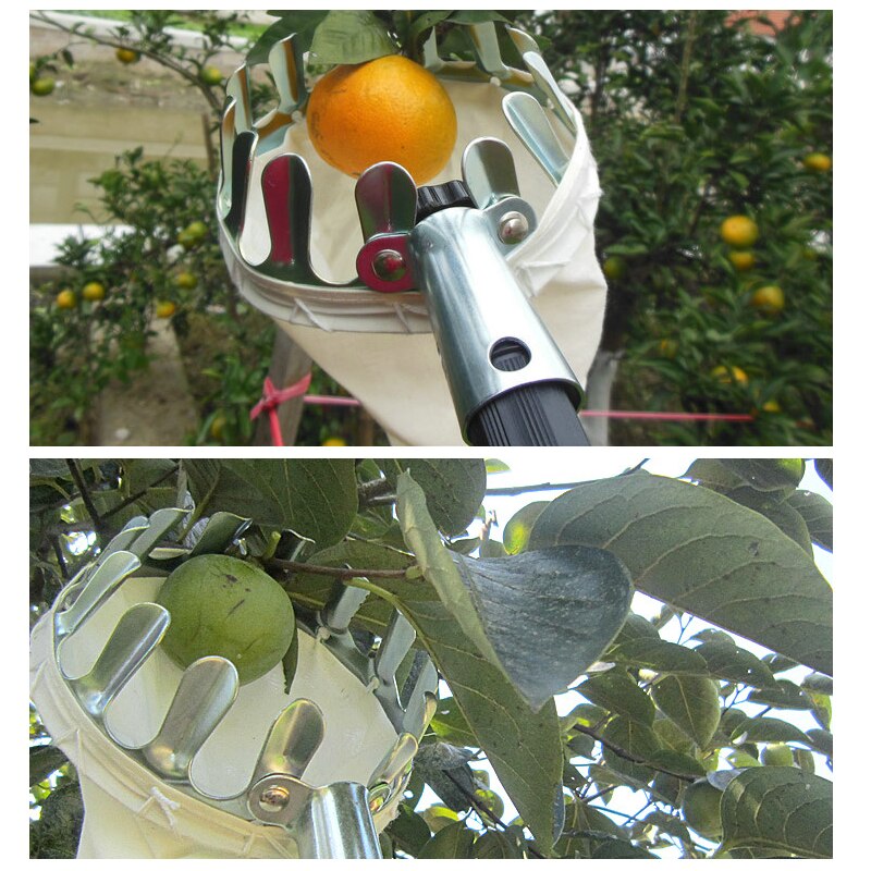 Obst Pflücker Kopf Korb Tragbare Obst Fänger Für Ernte Pflücken Zitrusfrüchte Birne Werkzeuge