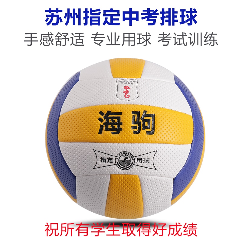 Spiel Volleyball Ball für freundlicher Spiel Fitness drinnen-Ausbildung Ball Frauen Pallavolo Salto Tragbare Geräte BD50VB