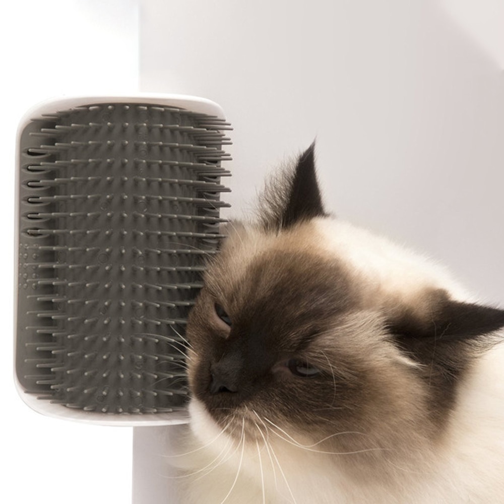 Katze Massage Pinsel Haustier Katze Pinsel Ecke Selbst Friseur Kamm Mit Katzenminze Katze Reibt Reinigung Selbst Kitzeln Kamm Katze Liefert haustier Kamm