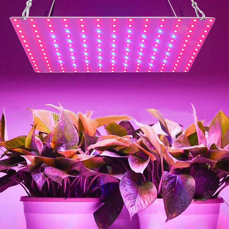 3000W LED Wachsen Licht, Volle Spektrum Wachsen Lampe für drinnen Pflanzen, sonne LED Anlage Wachsen Beleuchtung für Hydrokultur Gemüse Obst Blume