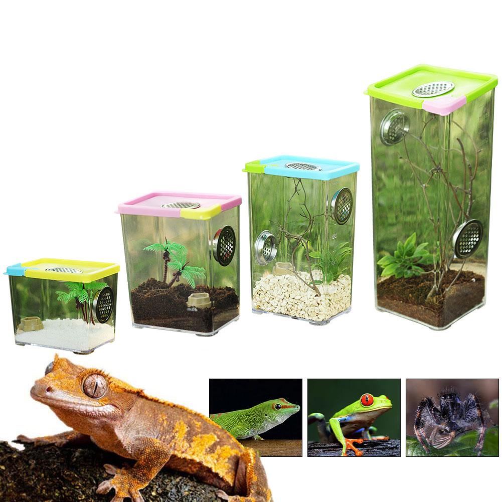 Neue Reptil Zucht Kasten Klar Acryl Reptil Terrarium Fütterung Kasten Beten Eidechse Reptil Hause Insekt KäFeige für Spinne Skorpion
