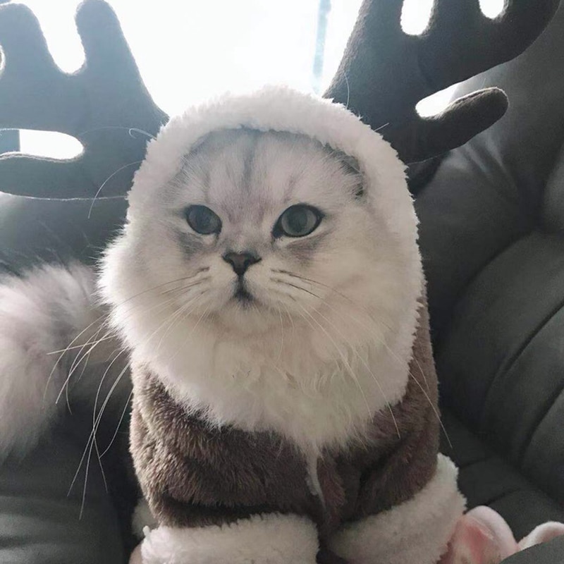 Winter Verdicken Haustier Katze Kleidung Für Katzen Warme Vlies Katze Kostümich Weihnachten Kätzchen Kätzchen Overall Katze Mantel Jacke Haustiere Kleidung