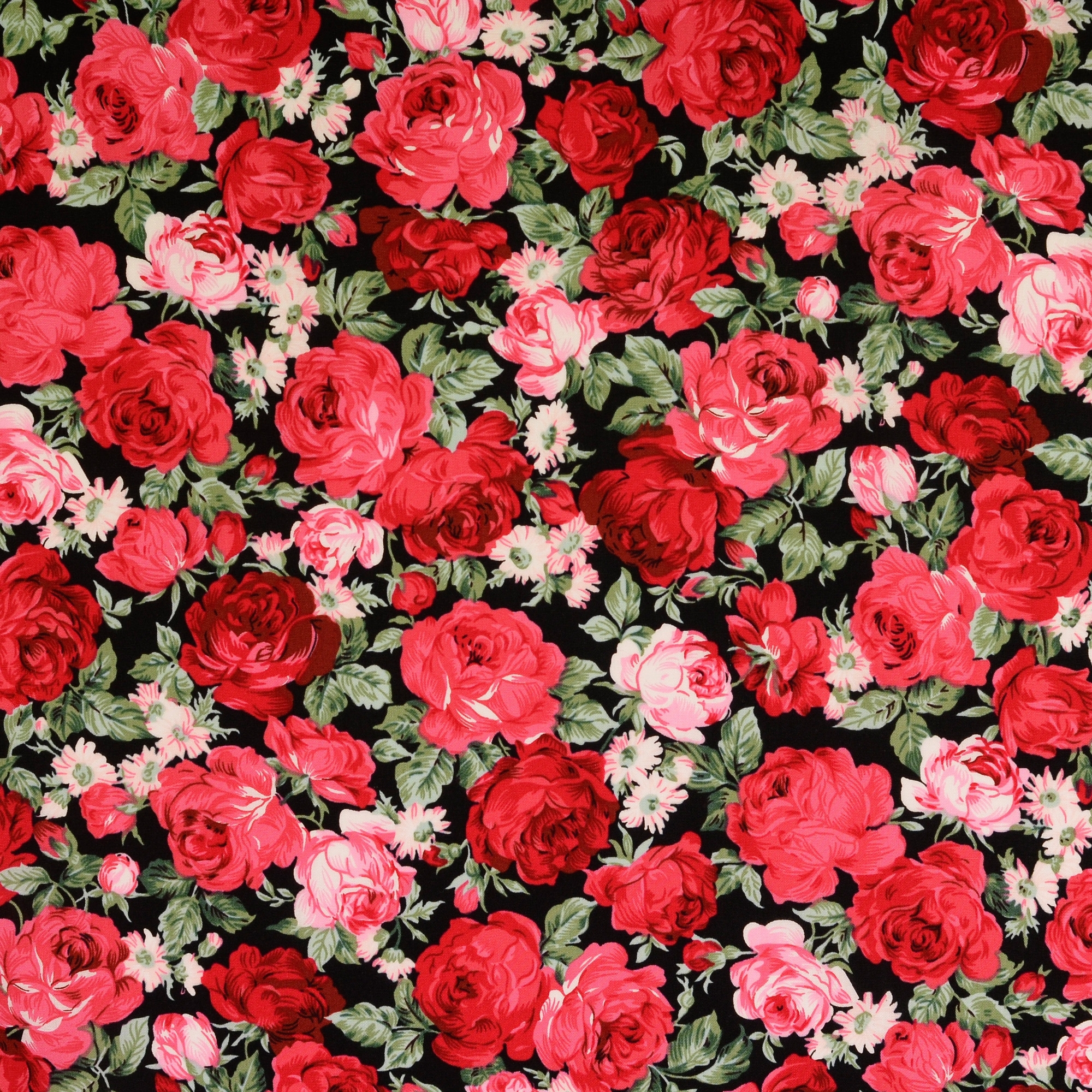 Baumwoll Popeline Rose Dream, schwarz - rot