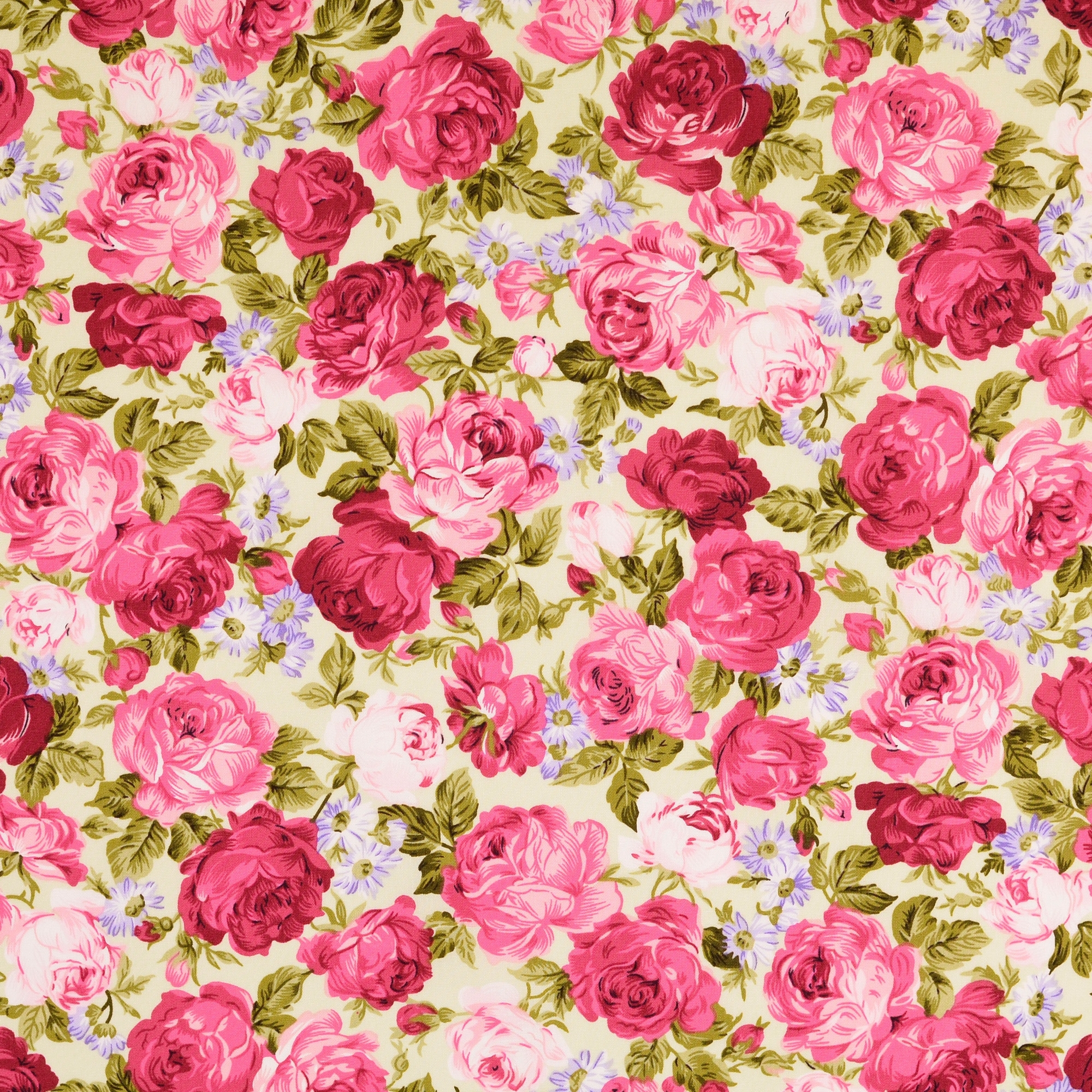 Baumwoll Popeline Rose Dream, wollweiß - beere