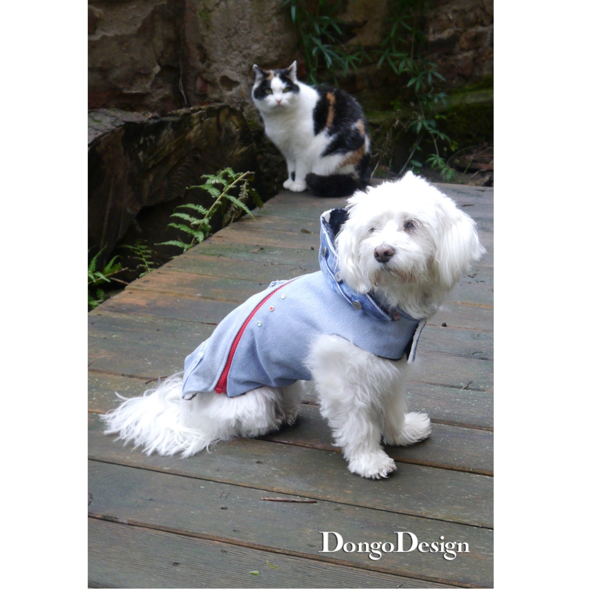 E-Book DongoDesign Hundemantel Jack the Zipper