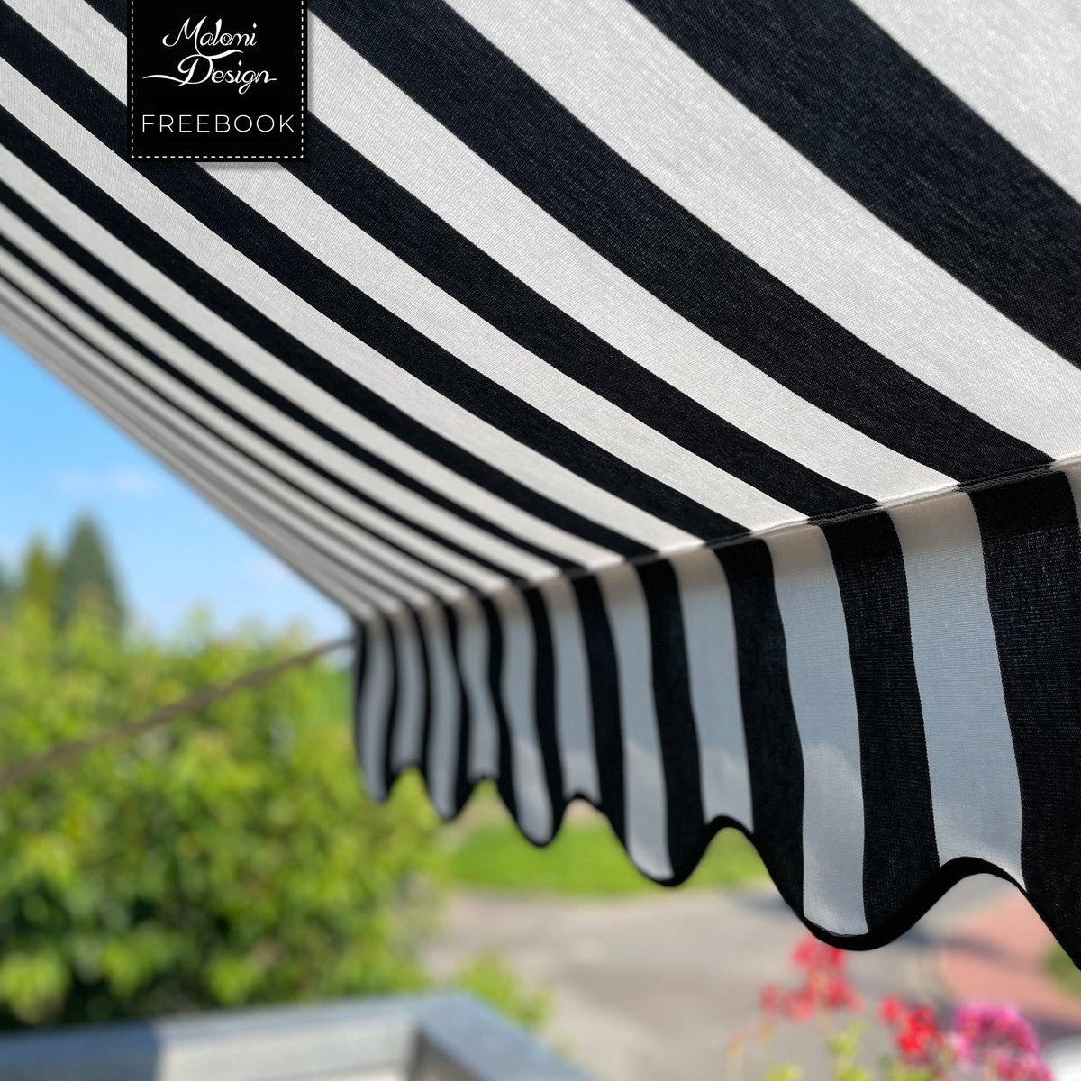 Freebook Malomi Markise Sunshine