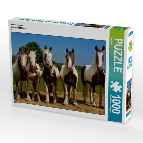 CALVENDO Puzzle Ein Motiv aus dem Kalender Gypsy Horses 1000 Teile Lege-Größe 64x48cm Foto-Puzzle für glückliche Stunden