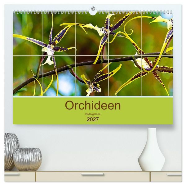 Orchideen Bildergalerie (hochwertiger Premium Wandkalender 2027 DIN A2 quer), Kunstdruck in Hochglanz