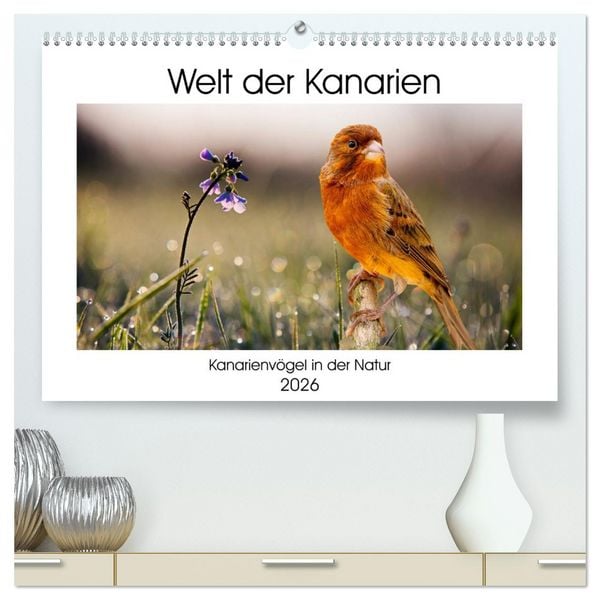 Welt der Kanarien (hochwertiger Premium Wandkalender 2026 DIN A2 quer), Kunstdruck in Hochglanz