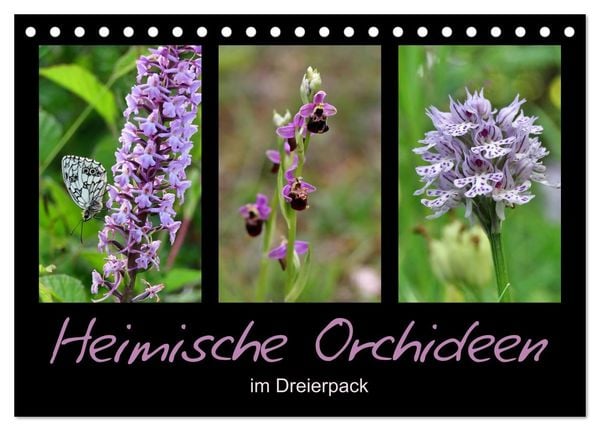 Heimische Orchideen im Dreierpack (Tischkalender 2027 DIN A5 quer), CALVENDO Monatskalender