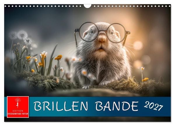 Brillen Bande (Wandkalender 2027 DIN A3 quer), CALVENDO Monatskalender