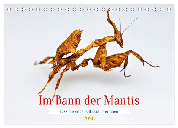 Im Bann der Mantis (Tischkalender 2026 DIN A5 quer), CALVENDO Monatskalender