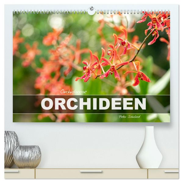 Orchidaceae - Orchideen (hochwertiger Premium Wandkalender 2026 DIN A2 quer), Kunstdruck in Hochglanz