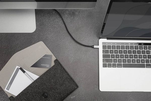 Digitus USB-Kabel USB 3.2 Gen1 (USB 3.0 / USB 3.1 Gen1) USB-C®, USB-C® Stecker 1.00 m Schwarz Flexibel, Geschirmt, mit USB DB-300220-010-S