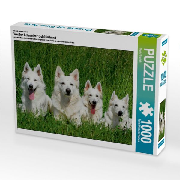 CALVENDO Puzzle Ein Motiv aus dem Kalender Weißer Schweizer Schäferhund 1000 Teile Lege-Größe 64x48cm Foto-Puzzle für glückliche Stunden