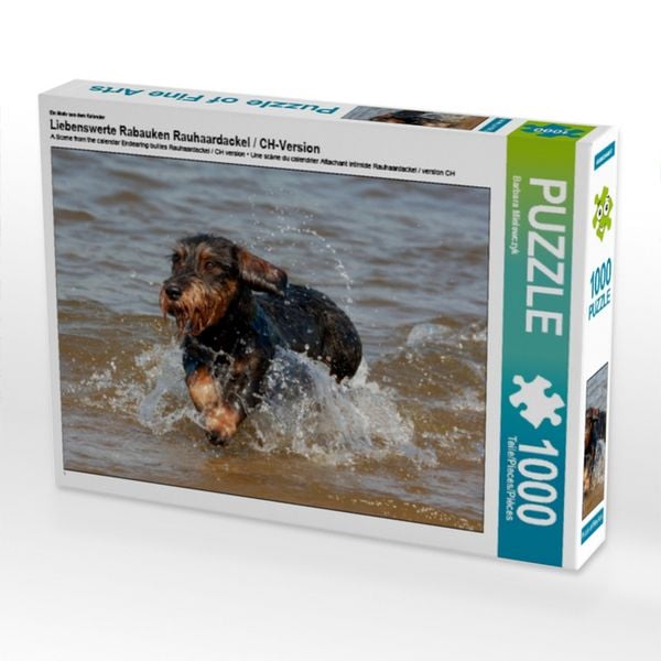 CALVENDO Puzzle Ein Motiv aus dem Kalender Liebenswerte Rabauken Rauhaardackel / CH-Version 1000 Teile Lege-Größe 64x48cm Foto-Puzzle für glückliche Stunden