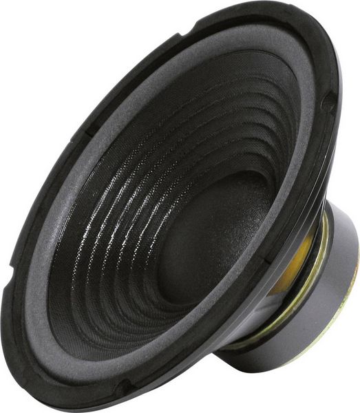 Sintron 203376 25cm PA-Subwoofer 200W 8Ω