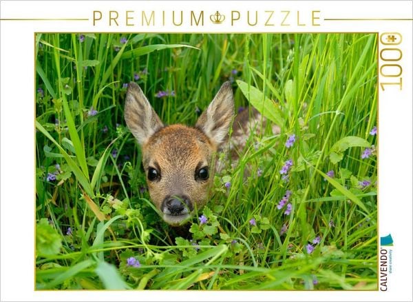 CALVENDO Puzzle Rehkitz in einer Wiese 1000 Teile Puzzle quer 1000 Teile Lege-Größe 64 × 48 cm Foto-Puzzle für glückliche Stunden