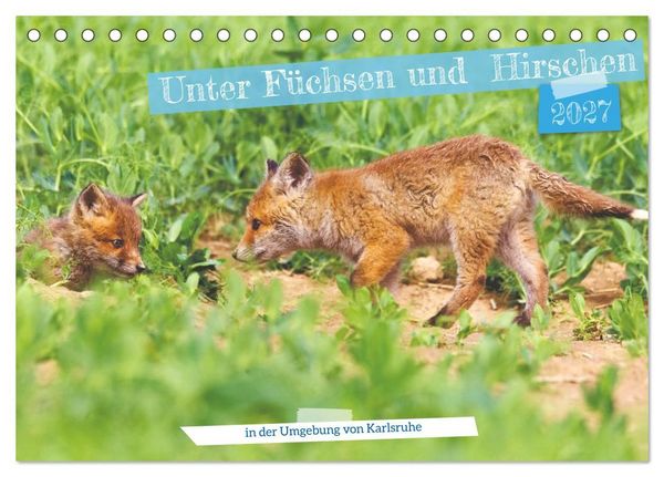 Unter Füchsen und Hirschen (Tischkalender 2027 DIN A5 quer), CALVENDO Monatskalender