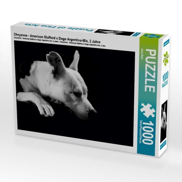 CALVENDO Puzzle Cheyenne - American Stafford x Dogo Argentino-Mix, 2 Jahre 1000 Teile Lege-Größe 64 × 48 cm Foto-Puzzle für glückliche Stunden